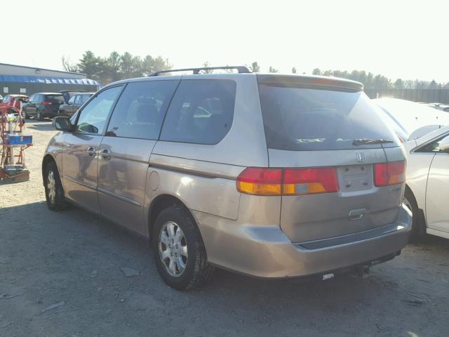 5FNRL18963B012103 - 2003 HONDA ODYSSEY EX GOLD photo 3