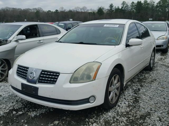 1N4BA41E96C834644 - 2006 NISSAN MAXIMA SE WHITE photo 2