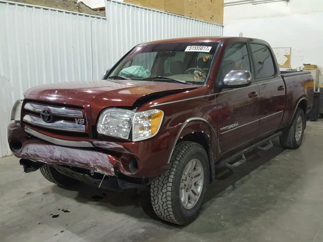 5TBET34166S528383 - 2006 TOYOTA TUNDRA DOU MAROON photo 2