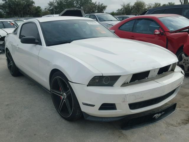 1ZVBP8AM6B5135488 - 2011 FORD MUSTANG WHITE photo 1