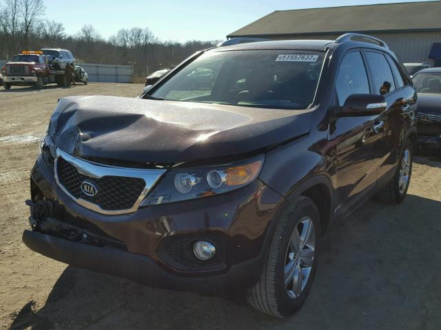 5XYKUDA26CG275794 - 2012 KIA SORENTO EX BURGUNDY photo 2