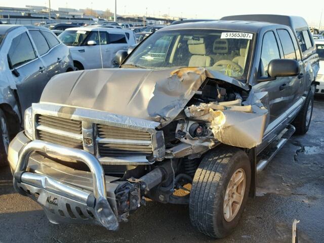 1D7HE48N77S152373 - 2007 DODGE DAKOTA QUA BROWN photo 2