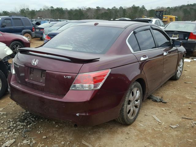 1HGCP36828A031314 - 2008 HONDA ACCORD EXL MAROON photo 4