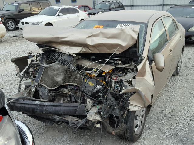 1NXBU4EE8AZ327759 - 2010 TOYOTA COROLLA BA GOLD photo 9