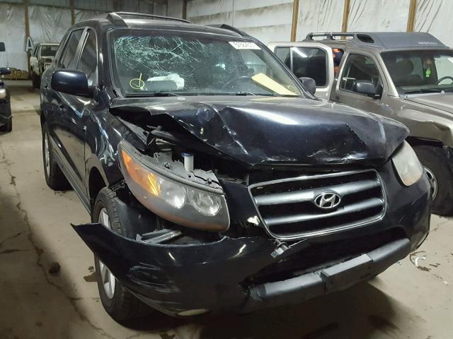 5NMSH73E89H236622 - 2009 HYUNDAI SANTA FE S BLUE photo 1