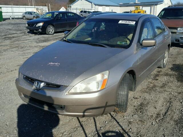 JHMCM56683C026602 - 2003 HONDA ACCORD EX TAN photo 2