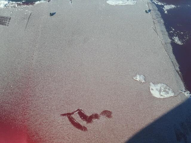 1C4NJDBB8FD108330 - 2015 JEEP COMPASS SP RED photo 7