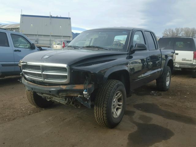 1D7HG38K24S594211 - 2004 DODGE DAKOTA QUA BLACK photo 2