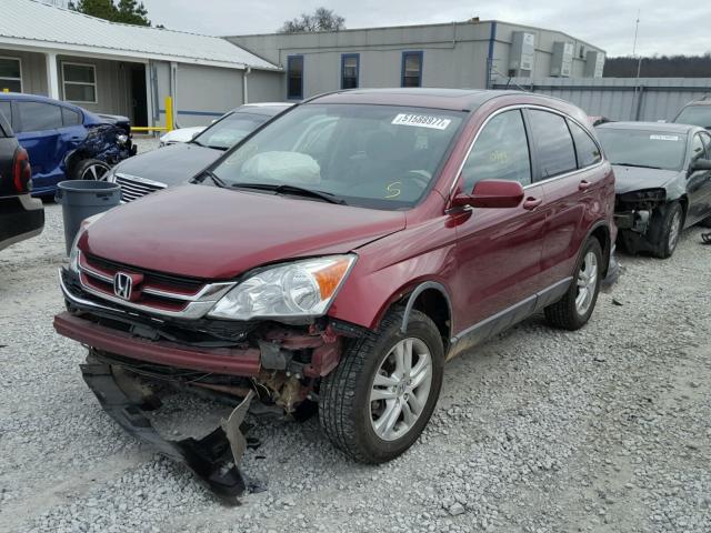 5J6RE4H7XAL101669 - 2010 HONDA CR-V EXL RED photo 2