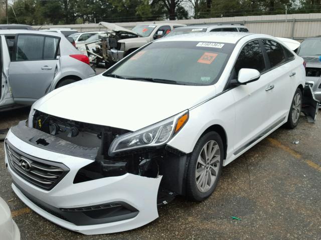 5NPE34AF5FH053604 - 2015 HYUNDAI SONATA SPO WHITE photo 2