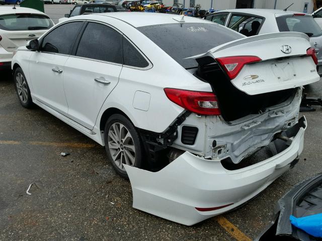 5NPE34AF5FH053604 - 2015 HYUNDAI SONATA SPO WHITE photo 3