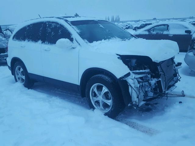 JHLRE48719C013534 - 2009 HONDA CR-V EXL WHITE photo 1