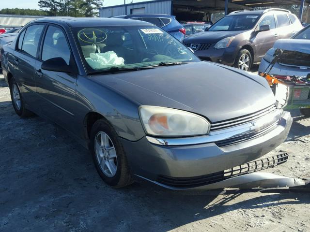 1G1ZT54865F284369 - 2005 CHEVROLET MALIBU LS GRAY photo 1