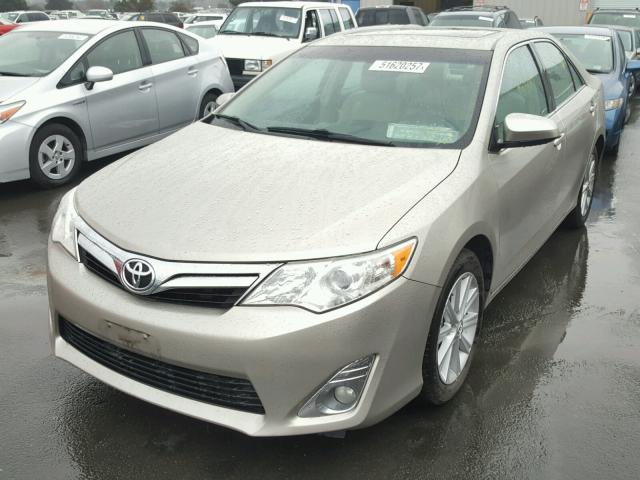 4T4BF1FK2DR324511 - 2013 TOYOTA CAMRY L GOLD photo 2