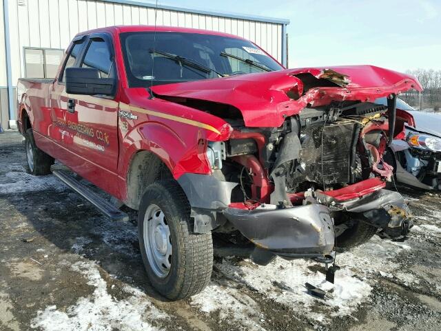 1FTFX1EF0EKF77762 - 2014 FORD F150 SUPER RED photo 1