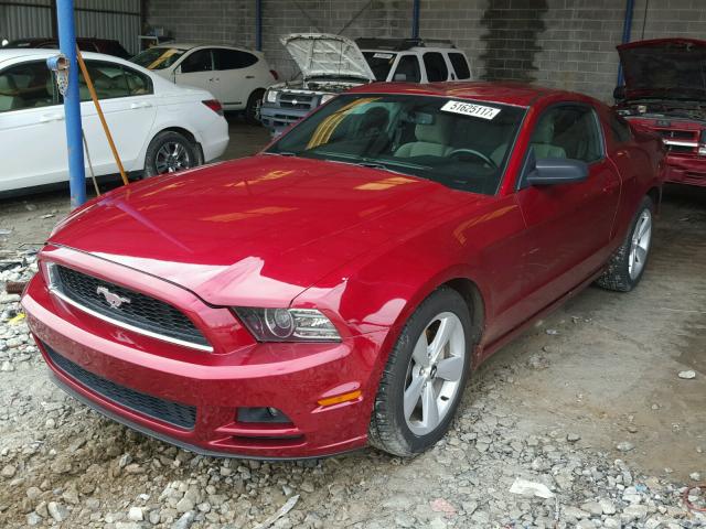 1ZVBP8AM0E5329003 - 2014 FORD MUSTANG RED photo 2