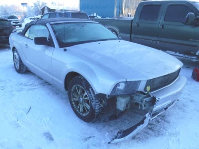 1ZVFT84N865111801 - 2006 FORD MUSTANG SILVER photo 1