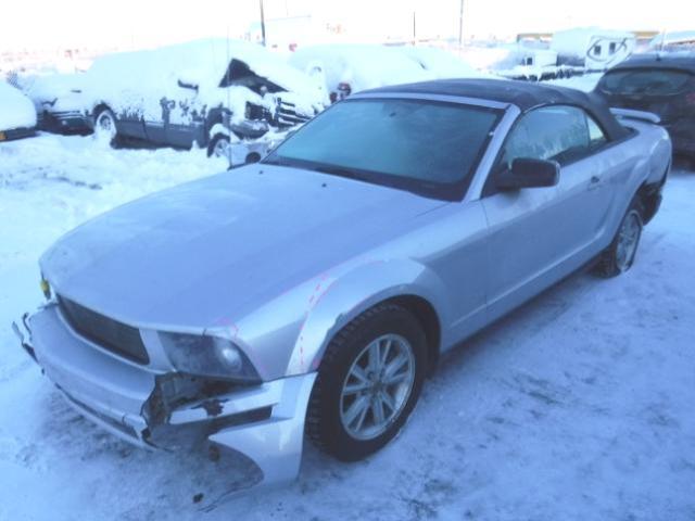 1ZVFT84N865111801 - 2006 FORD MUSTANG SILVER photo 2