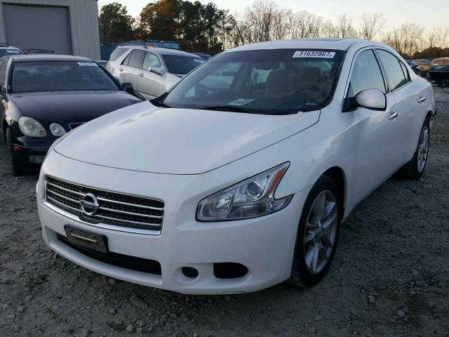 1N4AA5AP7BC831805 - 2011 NISSAN MAXIMA S WHITE photo 2