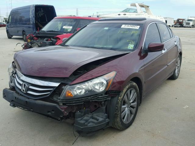 1HGCP3F82CA030589 - 2012 HONDA ACCORD EXL BURGUNDY photo 2