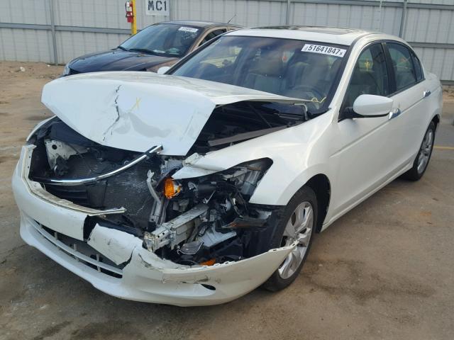 1HGCP36848A035283 - 2008 HONDA ACCORD EXL WHITE photo 2