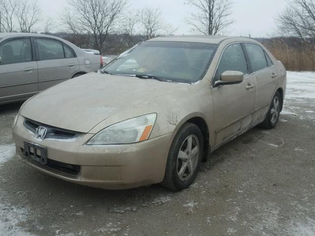 1HGCM56805A105734 - 2005 HONDA ACCORD EX GOLD photo 2