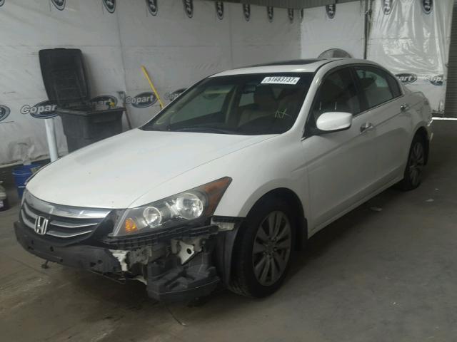 1HGCP3F85BA024509 - 2011 HONDA ACCORD EXL WHITE photo 2