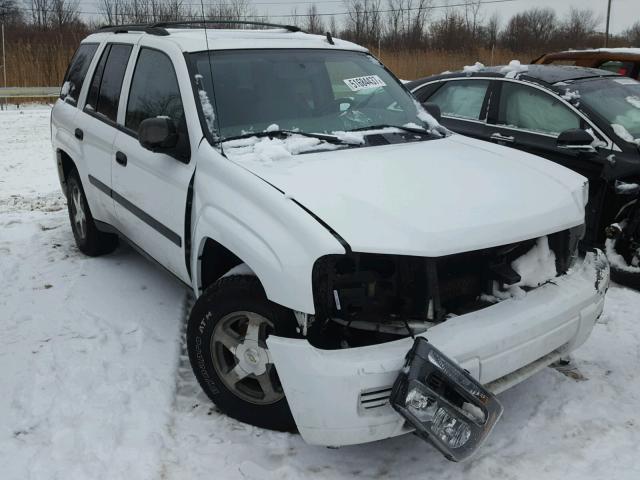 1GNDT13S162242845 - 2006 CHEVROLET TRAILBLAZE WHITE photo 1