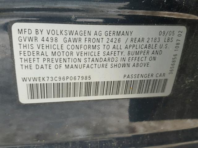 WVWEK73C96P067985 - 2006 VOLKSWAGEN PASSAT 2.0 BLUE photo 10