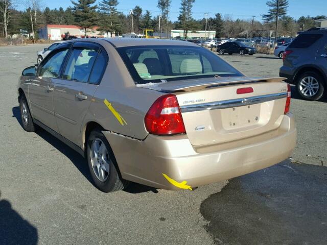 1G1ZT52805F258286 - 2005 CHEVROLET MALIBU LS GOLD photo 3