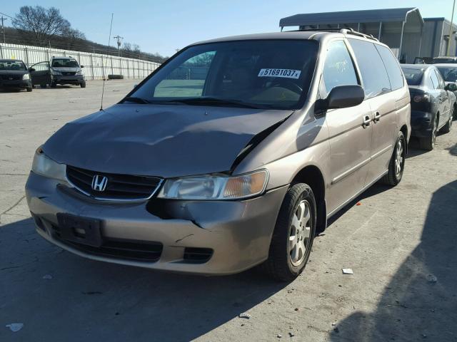 5FNRL18954B108984 - 2004 HONDA ODYSSEY EX GOLD photo 2