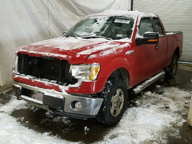 1FTFX1EV3AFD82930 - 2010 FORD F150 SUPER RED photo 2