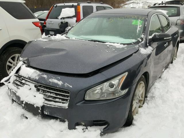 1N4AA51E09C822985 - 2009 NISSAN MAXIMA S GRAY photo 2