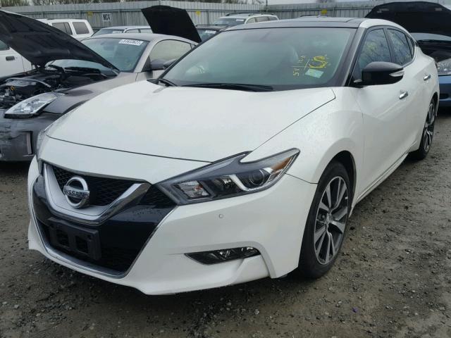 1N4AA6AP9HC430559 - 2017 NISSAN MAXIMA 3.5 WHITE photo 2