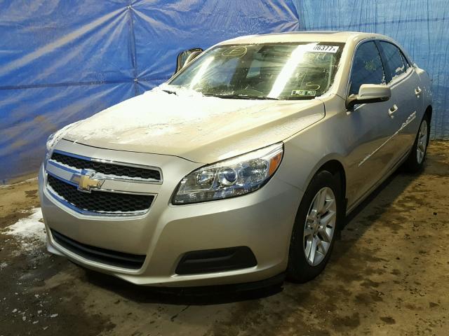 1G11C5SA2DF338249 - 2013 CHEVROLET MALIBU 1LT BEIGE photo 2