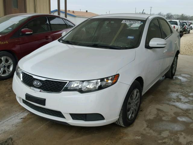 KNAFU4A21C5555873 - 2012 KIA FORTE EX WHITE photo 2