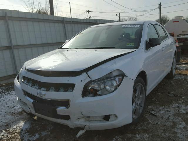 1G1ZB5EBXAF133719 - 2010 CHEVROLET MALIBU LS WHITE photo 2