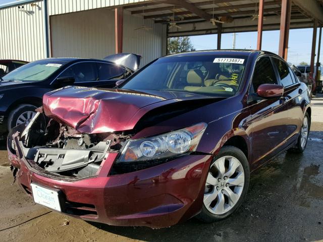 JHMCP26848C019743 - 2008 HONDA ACCORD EXL BURGUNDY photo 2