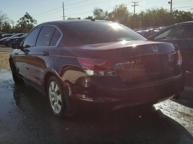 JHMCP26848C019743 - 2008 HONDA ACCORD EXL BURGUNDY photo 3