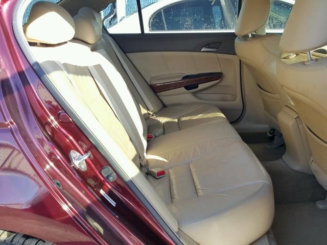 JHMCP26848C019743 - 2008 HONDA ACCORD EXL BURGUNDY photo 6