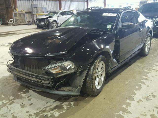 1ZVBP8AM6B5135409 - 2011 FORD MUSTANG BLACK photo 2