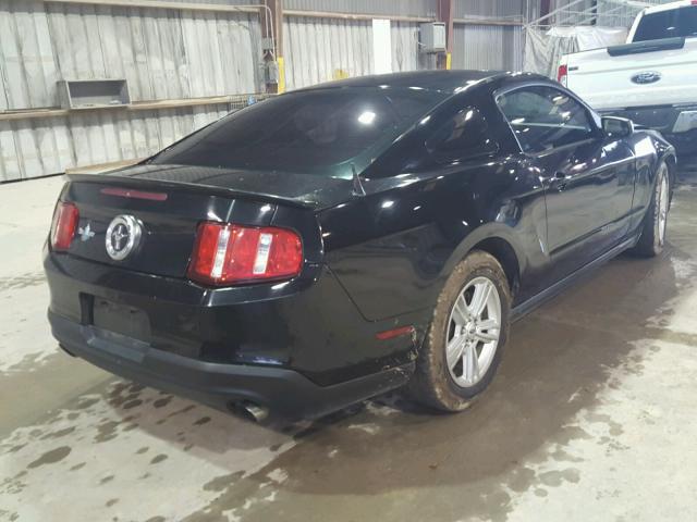 1ZVBP8AM6B5135409 - 2011 FORD MUSTANG BLACK photo 4