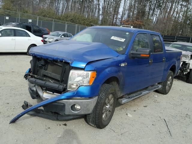 1FTFW1EF2BFD03941 - 2011 FORD F150 SUPER BLUE photo 2