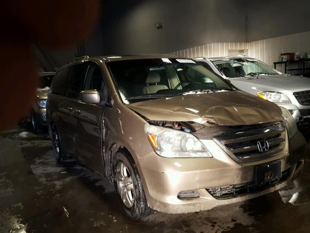 5FNRL38636B411119 - 2006 HONDA ODYSSEY EX TAN photo 1