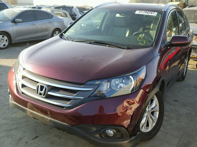 5J6RM3H76EL007159 - 2014 HONDA CR-V EXL BURGUNDY photo 2