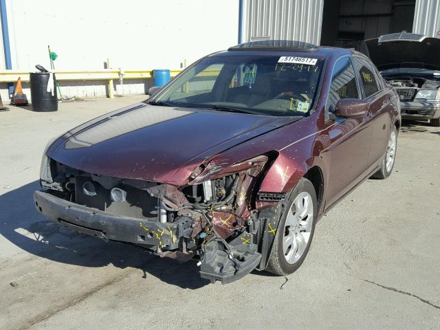 JHMCP26888C079623 - 2008 HONDA ACCORD EXL RED photo 2