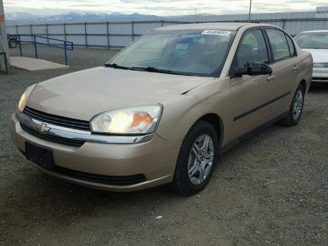 1G1ZS54875F285825 - 2005 CHEVROLET MALIBU GOLD photo 2