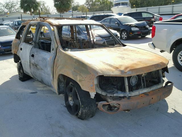 1GNDS13S982262122 - 2008 CHEVROLET TRAILBLAZE BURN photo 1