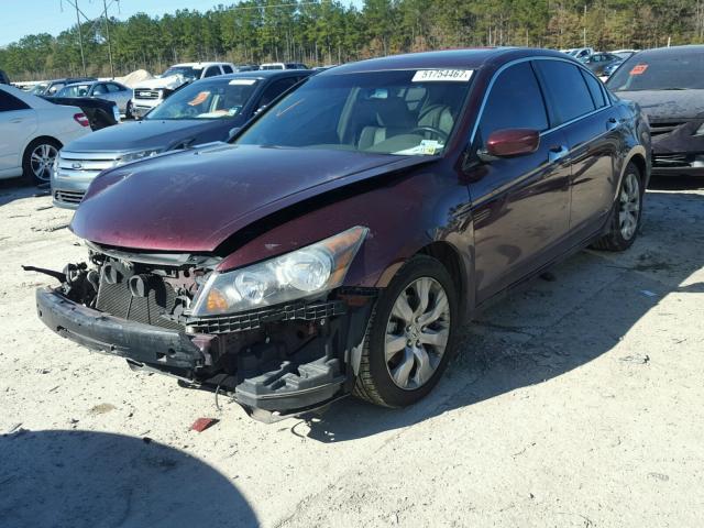 1HGCP36879A051639 - 2009 HONDA ACCORD EXL BURGUNDY photo 2