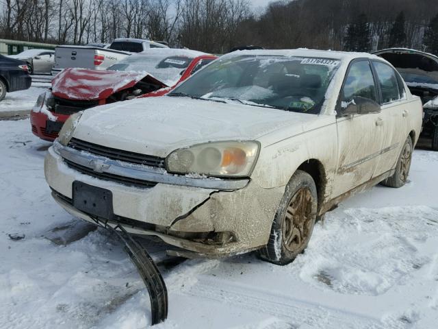 1G1ZS52F95F166689 - 2005 CHEVROLET MALIBU WHITE photo 2